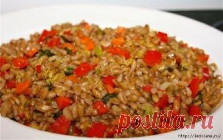 5 рецептов вкусных и полезных блюд из перловки