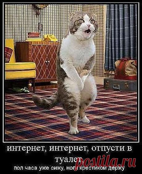 пусть лучше над тобой смеются,чем плачут