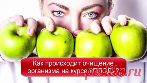 Насколько важно очищение организма при подборе питания