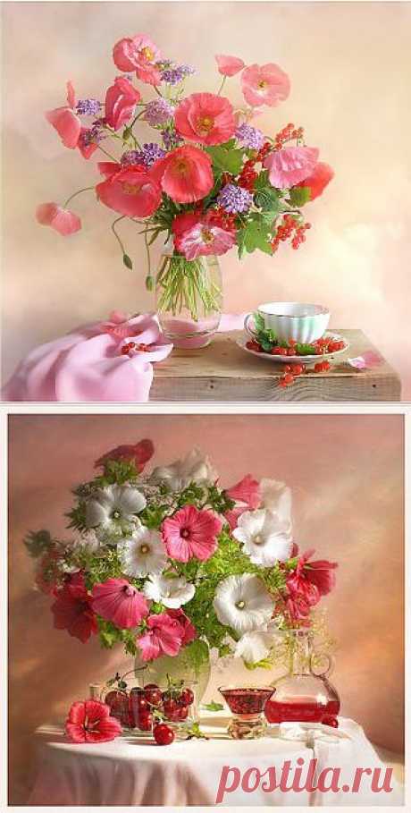 Мои закладки