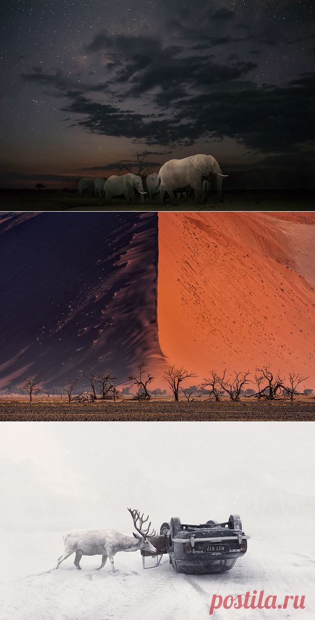 Лучшие работы с фотоконкурса Sony World Photography Awards — Фотошедевры