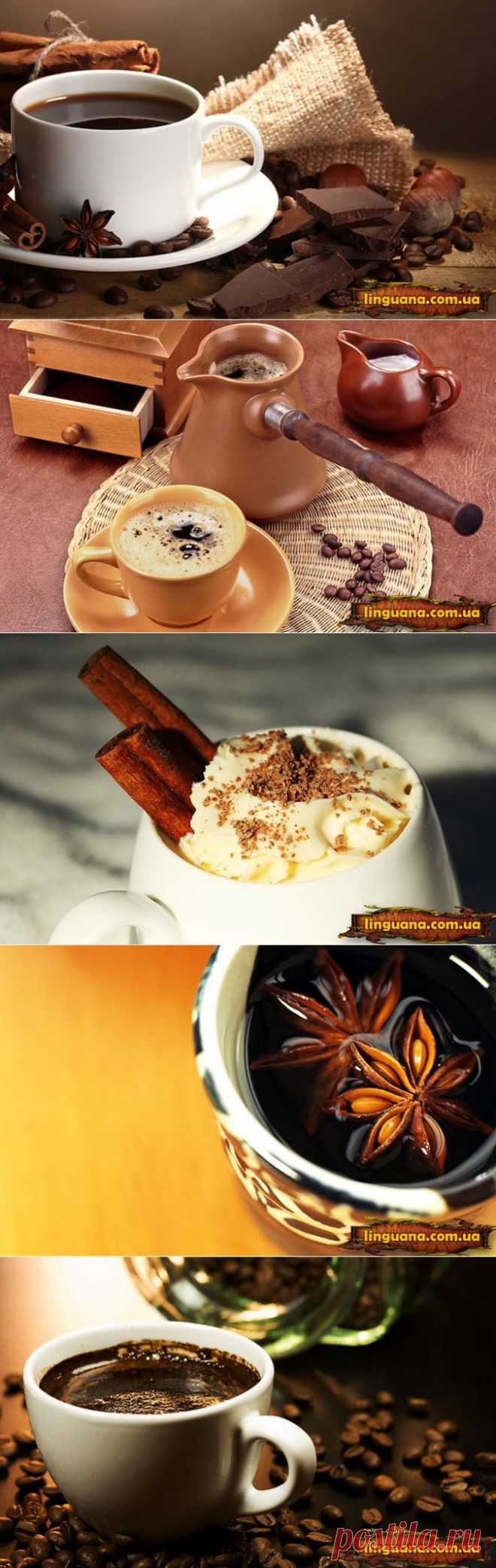 Linguana | Nouns meaning some kind of substance