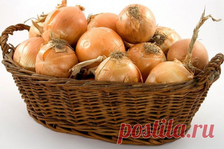 Как правильно хранить продукты / Все для женщины