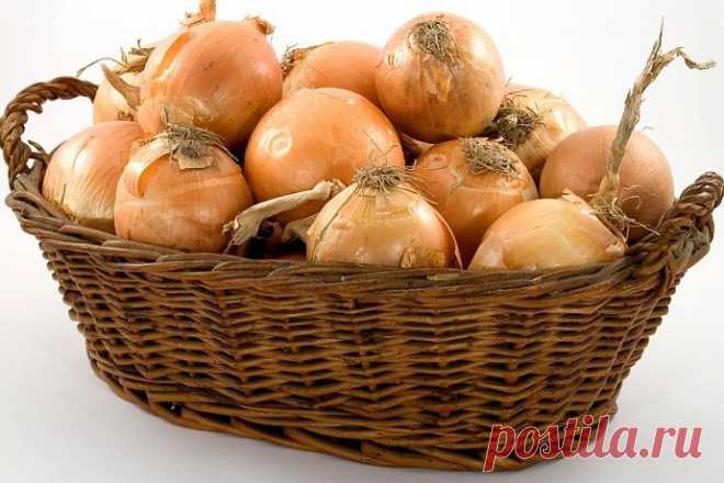 Как правильно хранить продукты / Все для женщины