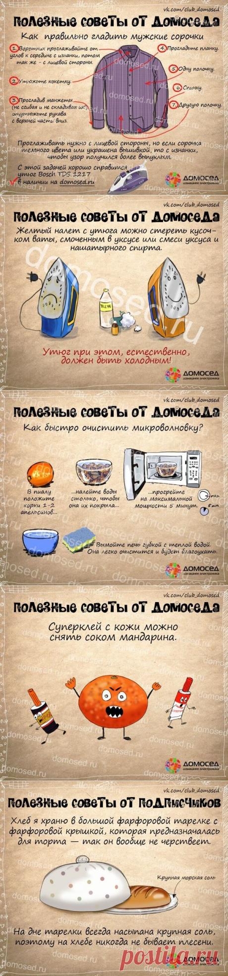 Полезные советы от Домоседа - хозяйство