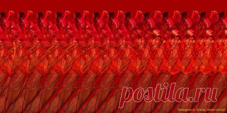 Стереокартинки. (Продолжение 8.) / Фотошоп и я.