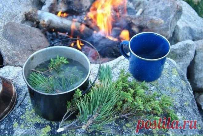 Лайфхаки для выживания и поделки своими руками на все случаи жизни | Выживи сам