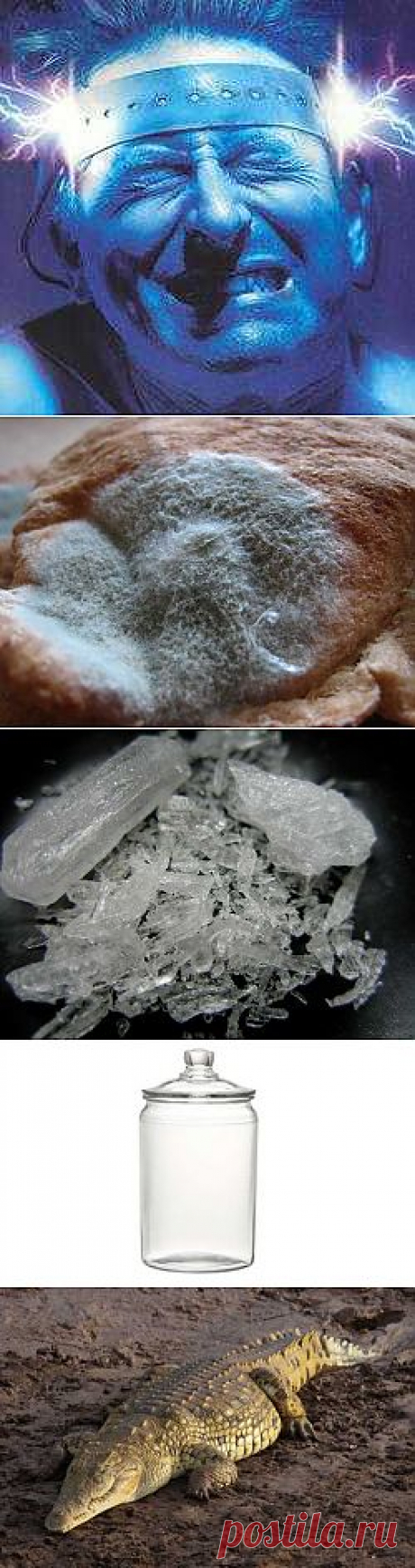 Самые странные методы лечения в истории медицины
