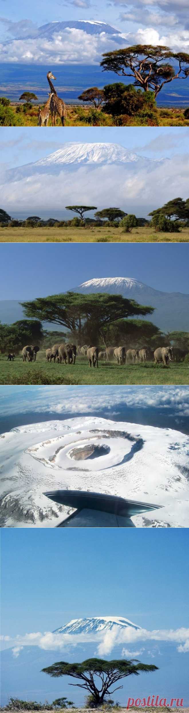 Парящая в облаках!