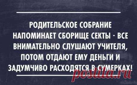 Актуальные цитаты интернета / Писец - приколы интернета