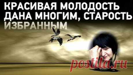 Останься молодость.Тело как-то быстро постарело, А душа осталась молодой. Юность незаметно отзвенела, И причёска с модной сединой.