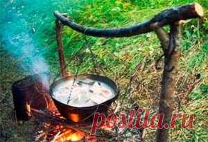 Рыбалка видео: Уха простая и тройная