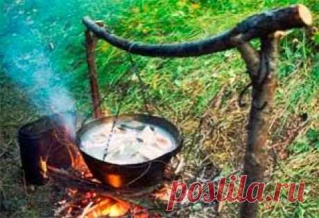 Рыбалка видео: Уха простая и тройная