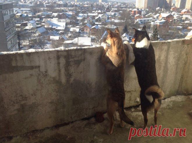 Валерiя Колонистова