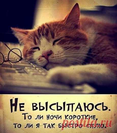 САМАЯ ОБАЯТЕЛЬНАЯ И ПРИВЛЕКАТЕЛЬНАЯ
Галина Бычек