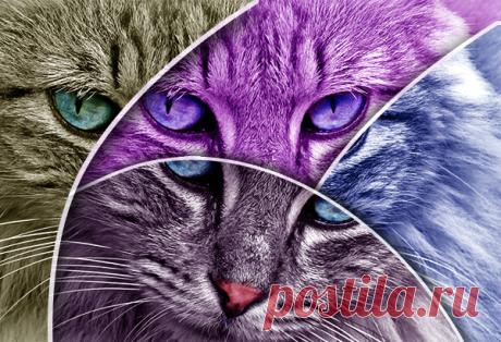 Create an Abstract Shape Effect For Your Photos in Photoshop