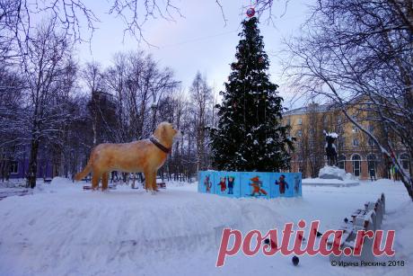 Год собаки
