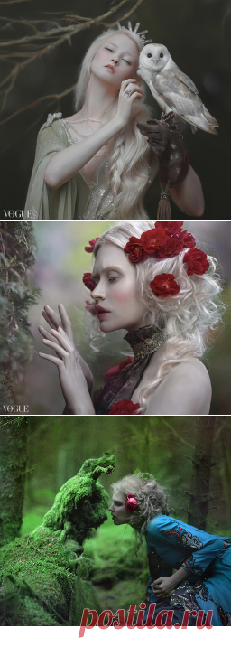 Fotografo - PhotoVogue - Vogue