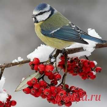 Мой Мир@Mail.Ru