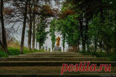 Фотопрогулки. Первые маки