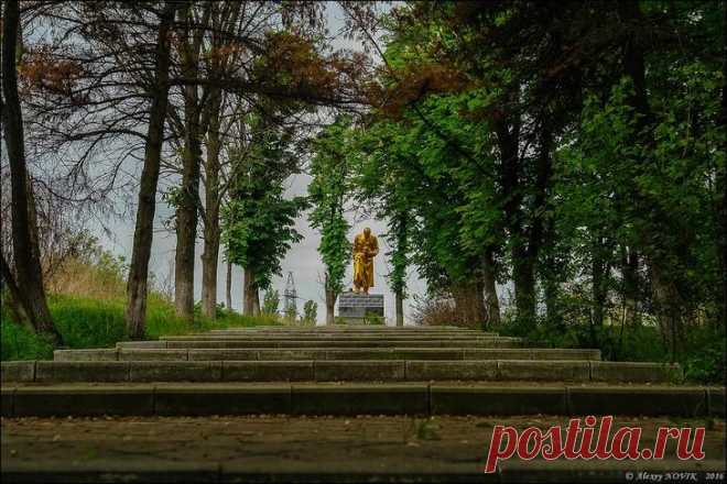 Фотопрогулки. Первые маки