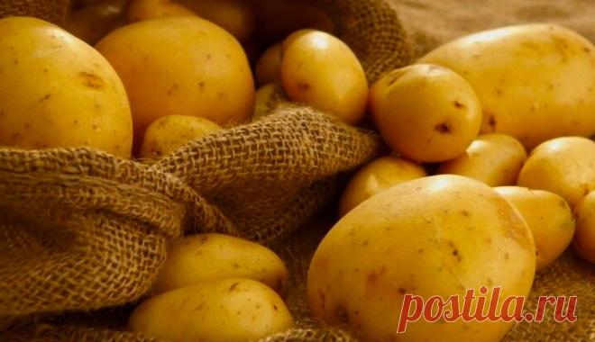 Как картошкой омолодить своё лицо за 3 дня | Здоровьице | Яндекс Дзен