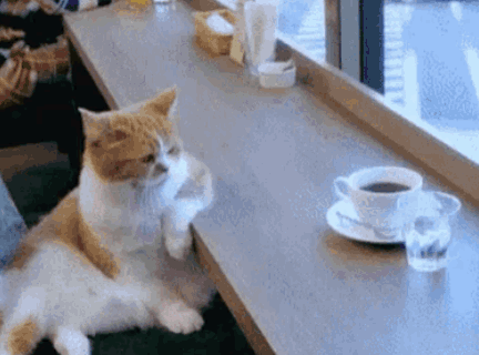 [тест] Ответь на 8 вопросов и узнай, какой ты лентяй | Энергосберегающий лентяй
Ты очень странный тип лентяя, который не выдает себя сразу. Поначалу окружающим может показаться, что ты настоящий трудоголик, который вечно загружает себя делами и не сидит на месте. Но на деле ты делаешь все оперативно только ради того, чтобы… как можно больше времени провести в постели вечером. Вот такая вот необычная (и полезная) форма лени.