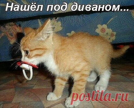 хх