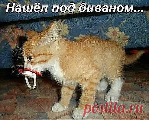 хх
