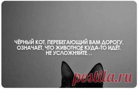 и не придумывайте себе неприятности.