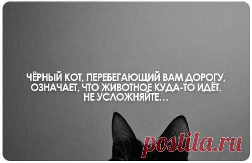 и не придумывайте себе неприятности.