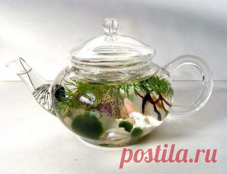 Миниатюрный аквариум как элемент декора ~ Planetalsad