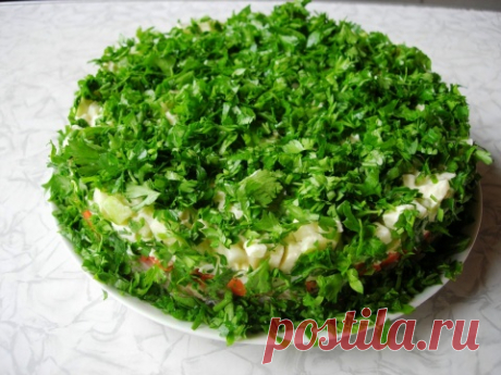 Дачный участок