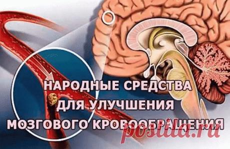 Народные средства для улучшения мозгового кровообращения. .