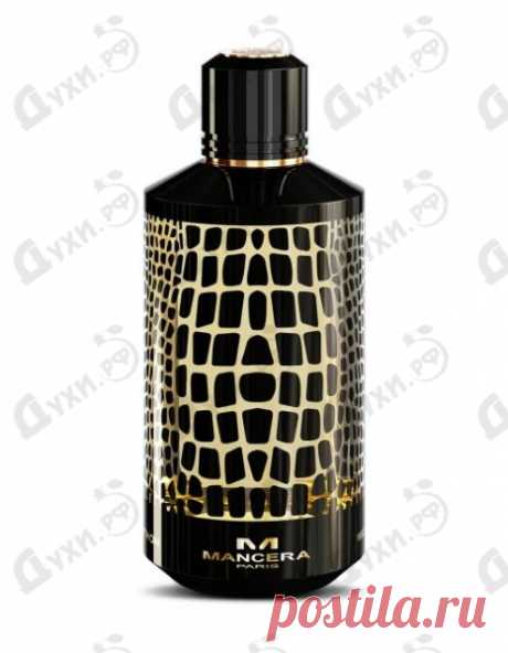 Купить Mancera Wild Python на Духи.рф | Оригинальная парфюмерия!