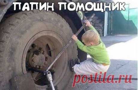 Папин помощник...