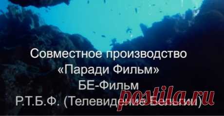 СЕРИЯ УБИЙСТВ НА ФРАНЦУЗСКОМ ПОБЕРЕЖЬЕ! УБИЙСТВО В МАРТИГЕ