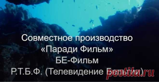 СЕРИЯ УБИЙСТВ НА ФРАНЦУЗСКОМ ПОБЕРЕЖЬЕ! УБИЙСТВО В МАРТИГЕ