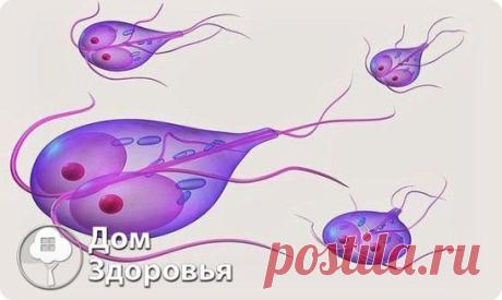 Одноклассники