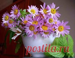 Фото в Google+