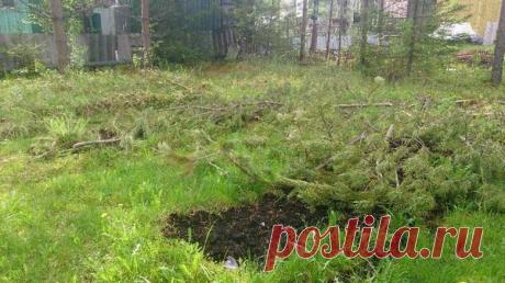 Как осушить участок?