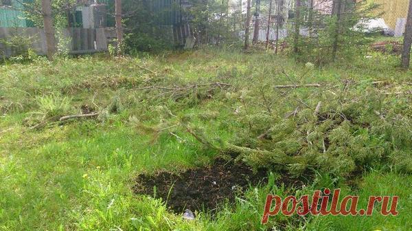 Как осушить участок?