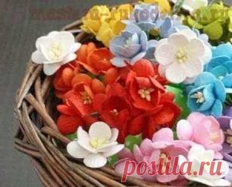 Видео мастер-класс по созданию цветов из бумаги: Как сделать цветок вишни