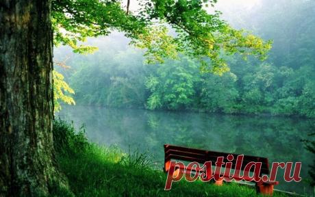Природа- лучший психотерапевт.