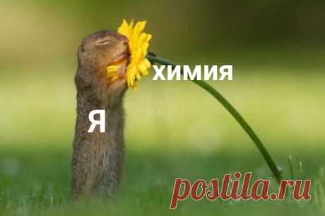 Учитель химии!