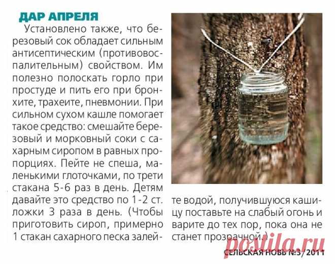 Лечение кашля березовым соком