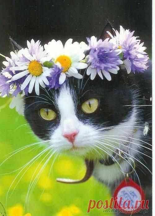 ПЯТНИЦА НАСТУПИЛА