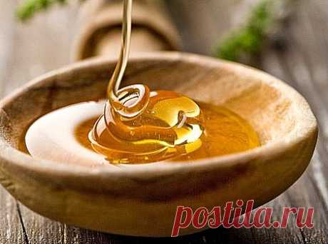 Мед избавляет от гастрита | Народный лечебник