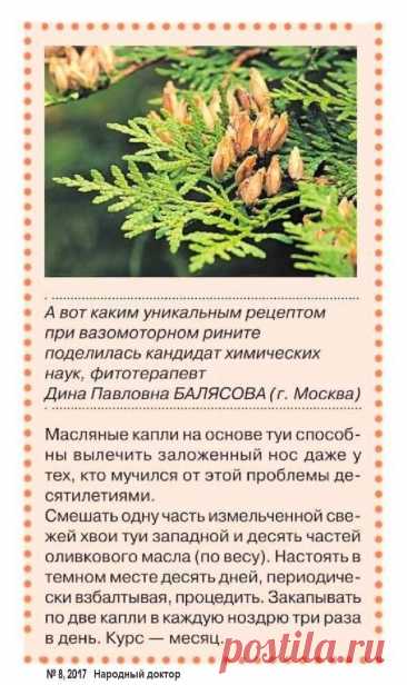 Масляные капли на основе туи вылечат заложенность носа