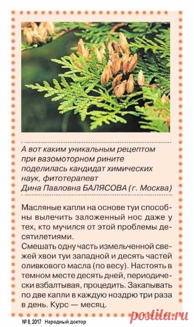 Масляные капли на основе туи вылечат заложенность носа